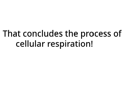 Cellular Respiration