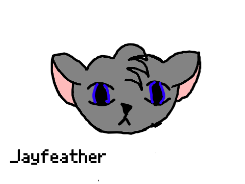 Jayfeather