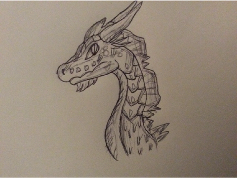 I drew Koral’s design before coding class..
