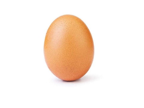 Most Popular Egg
