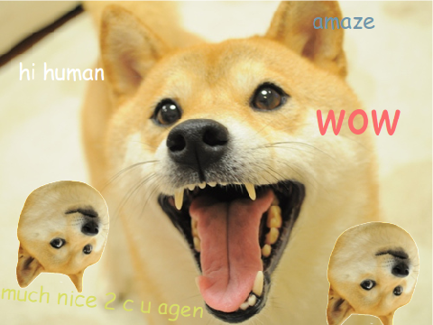 Doge Song 