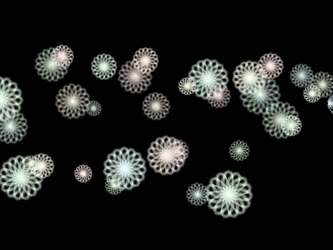 Flowers!
