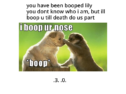 you have been booped cuz i love you more than anything or anyone plz date me lily