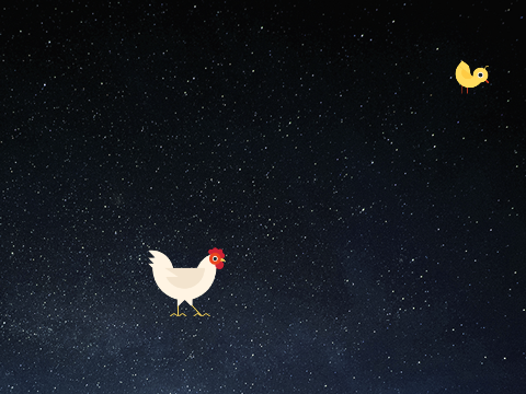 CHICKEN COOP CHASE