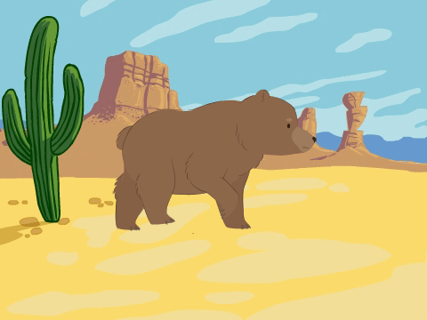 Bear Tours The World!