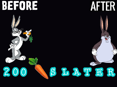 #BIG CHUNGUS 