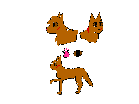Tinypaw Reference