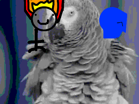 Add yourself dancing with Einstein the bird!