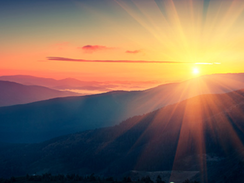Dawn (Chapter Eleven)