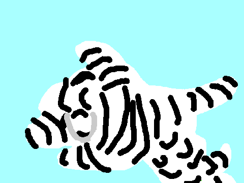 Untitled-8