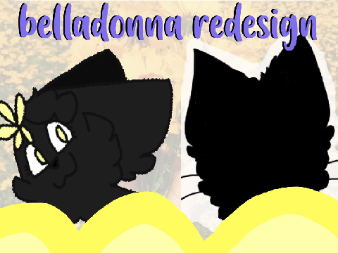 belladonna ★ redesign