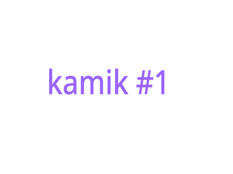 KAMIK 1