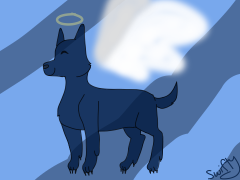 R.I.P Tuck