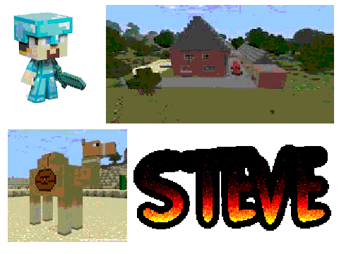 steve