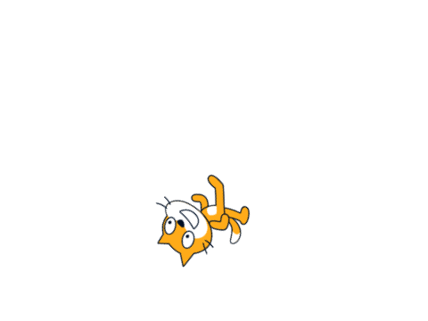 cat spin