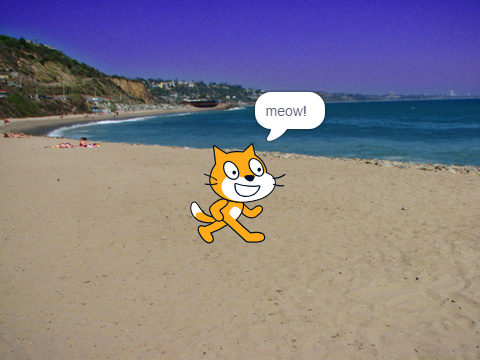 Forever Meowing Cat
