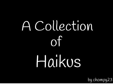 A Collection of Haikus