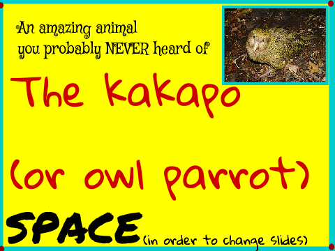 An amazing animal you probably NEVER heard of! remix