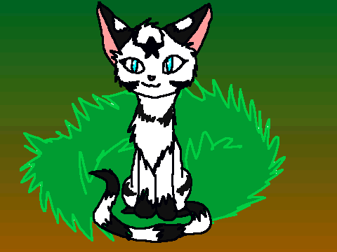 Shadowstar:leader of paintclan
