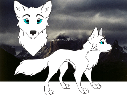 Destiny Pack {A Wolf RP} BIO