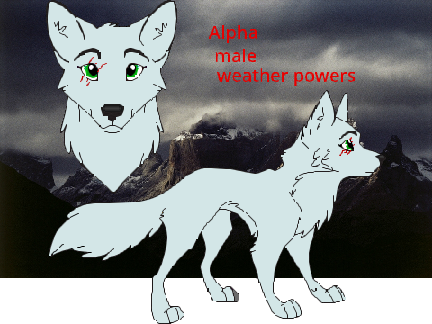 Destiny Pack {A Wolf RP} BIO  Alpha
