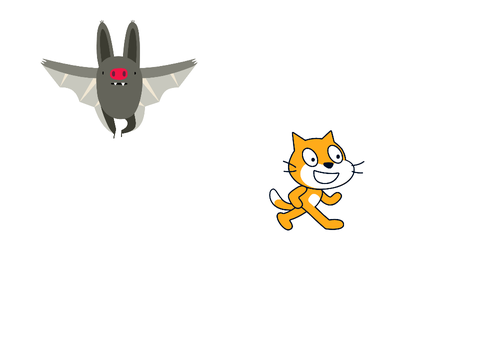Bat Facts (School Activity)