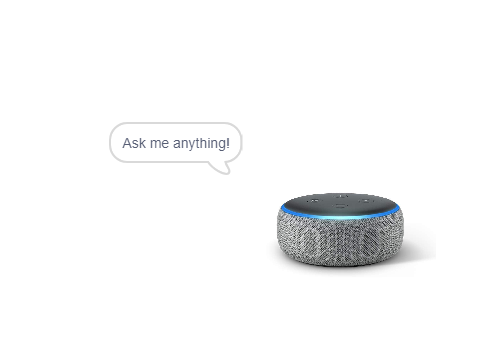 The scratch alexa