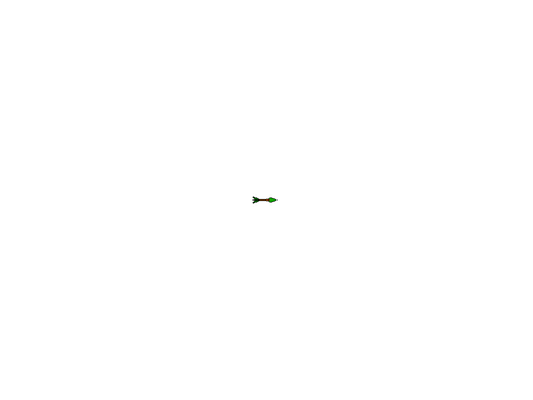 Sprites