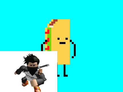 taco sharks!