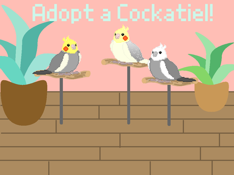 Pet Cockatiel Simulator