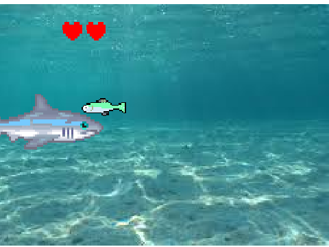 Shark attack