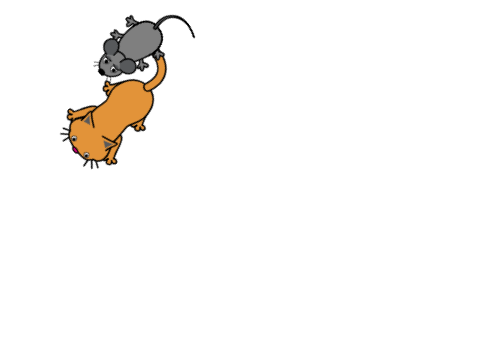 cat and mouse
