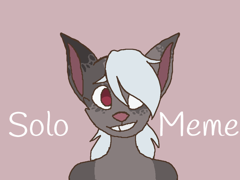 Solo Meme