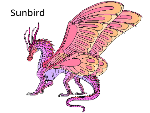 Sunbird of Silkwings