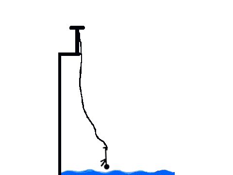 bungee