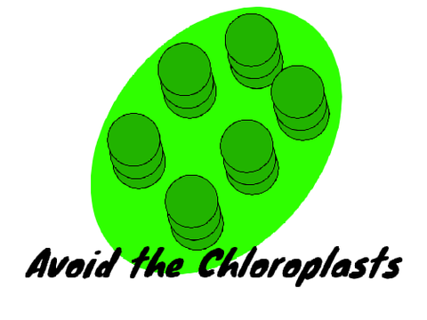 Photosynthesis -- Team 3 -- Brentwood