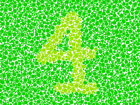 Color Blindness Test
