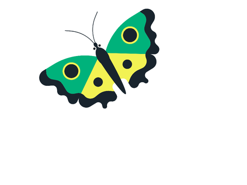 Life Cycle of a Butterfly (School Activity)