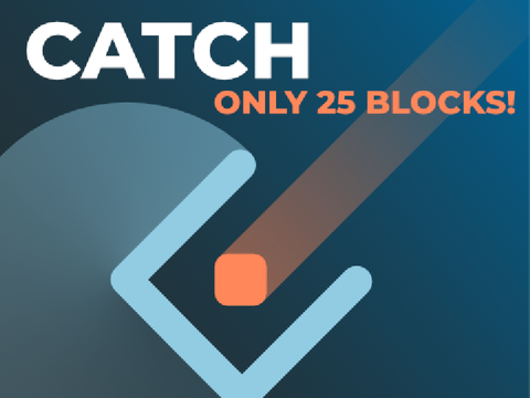 Catch (25 Blocks)