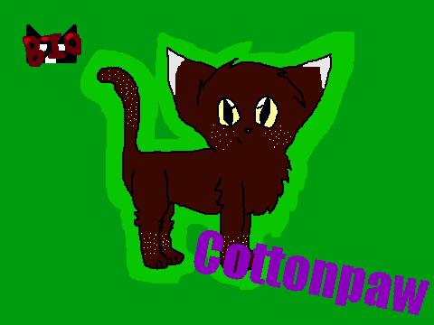 Cottonpaw~ My adopted charrie from Dawnwing56