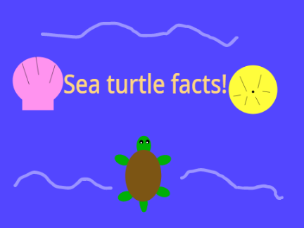Sea turtle facts!