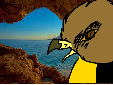 { + SEAGULLS + } (MEME)
