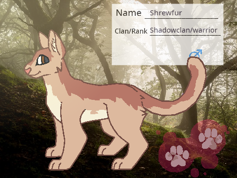 Shrewfur//Fallen Stars