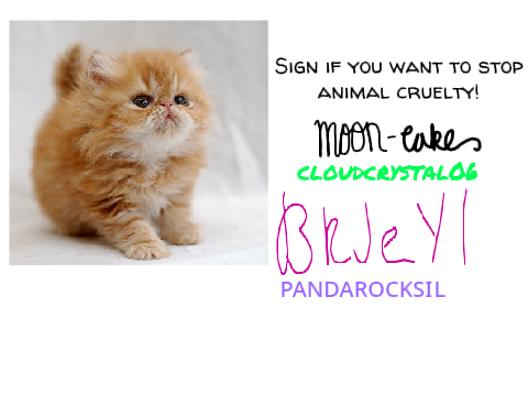 Sign if you want to stop animal cruelty! remix remix remix