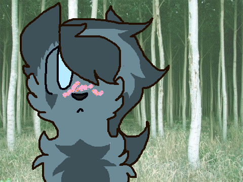 Brackenfur's little crush on Windfur(LeafClan) remix