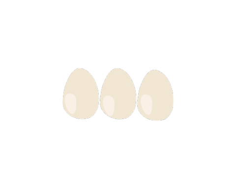 The Egg Song!!!