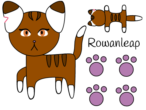 Rowankit/paw/leap