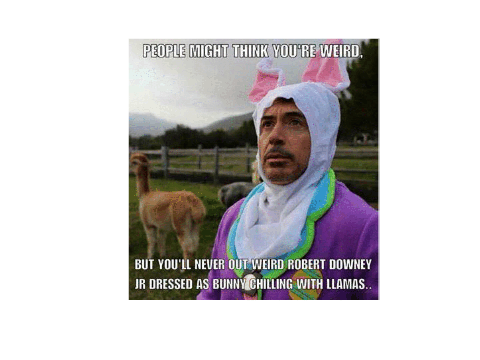 My fave meme ever