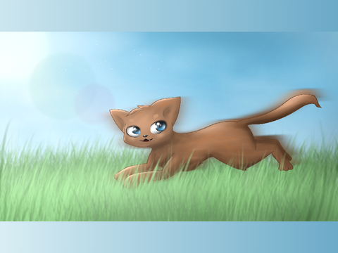 Redraw -
