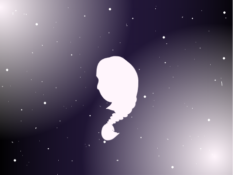 galaxy speed draw